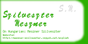 szilveszter meszner business card